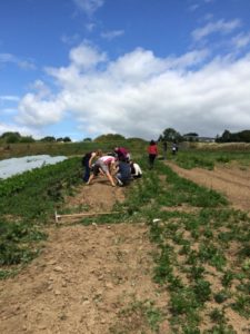 Training Embercombe